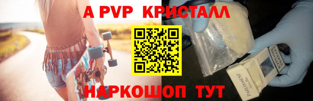 Alfa_PVP СК Ачхой-Мартан