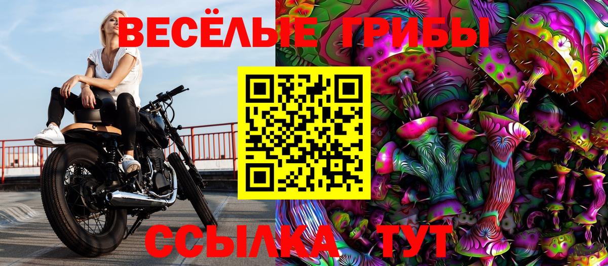 Галлюциногенные грибы MAGIC MUSHROOMS  Галлюциногенные грибы Psilocybe  Ачхой-Мартан  где продают наркотики  Вход с VPN 